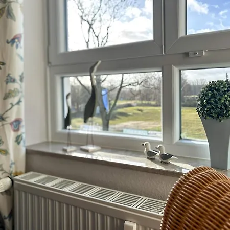 Likedeeler 42 * Boltenhagen (Ostseebad)
